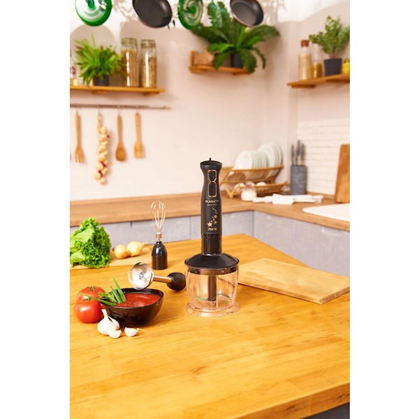 ხელის ბლენდერი Scarlett SC-HB42F72, 700W, 0.6L, Blender, Black | SC ...
